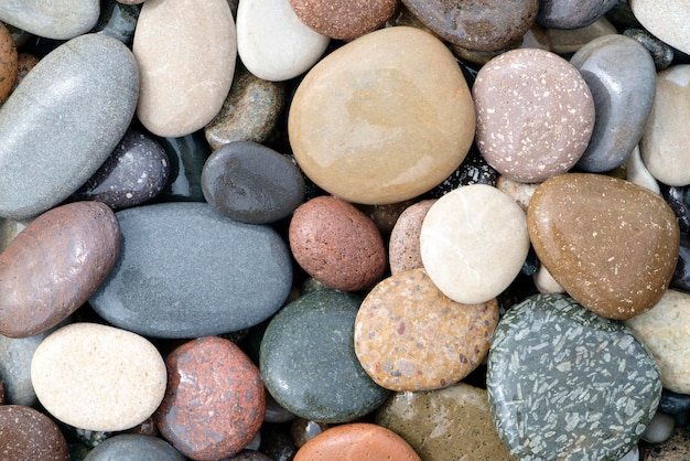 Glatte runde nasse Kieselsteine Texturhintergrund Kieselstrand in der Nähe