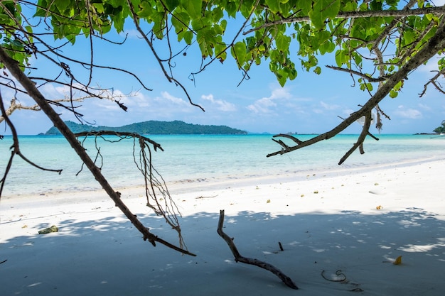 Glattes silvan des bunten weißen Sandes des Seestrands