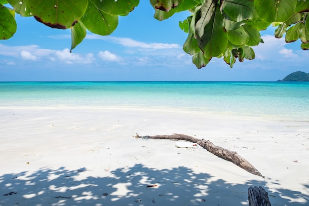 Glattes silvan des bunten weißen Sandes des Seestrands