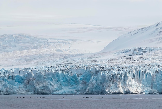 Gletscher in der Antarktis Südshetland