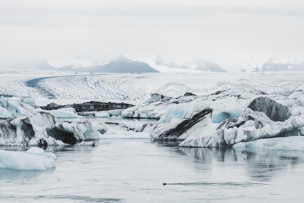 Gletscher in Island