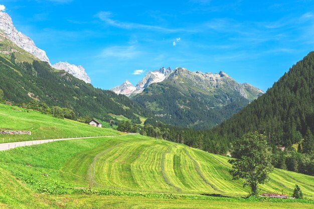 Gletscher und Schneeberg mit grüner Landschaft