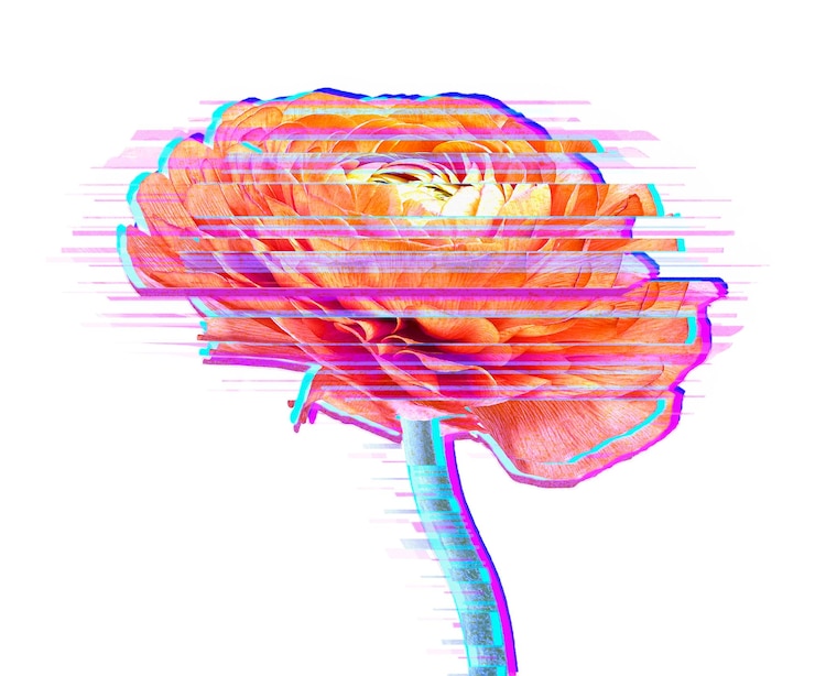 Foto glitch flor png adhesivo abstracto