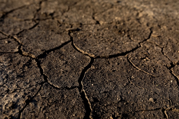 Globale Erwärmung und Wasserknappheit auf dem Planeten. Trockenheit, rissiger Boden. Natürliche Bodenbeschaffenheit mit Rissen, Ödland. Symbol für Wetter- und Klimaänderungen