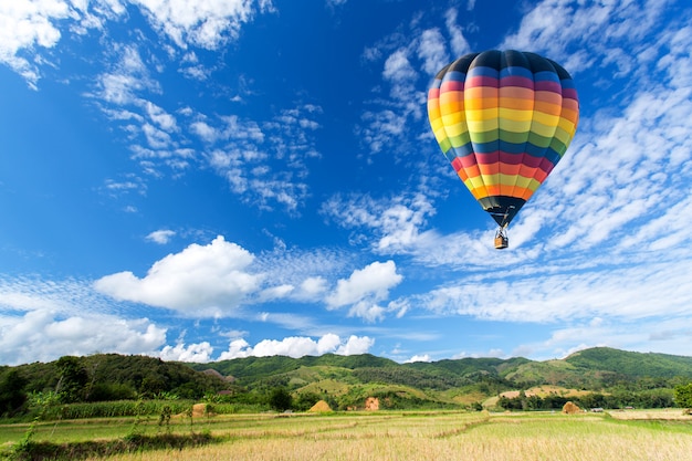 Globo aerostático sobre el campo con cielo azul