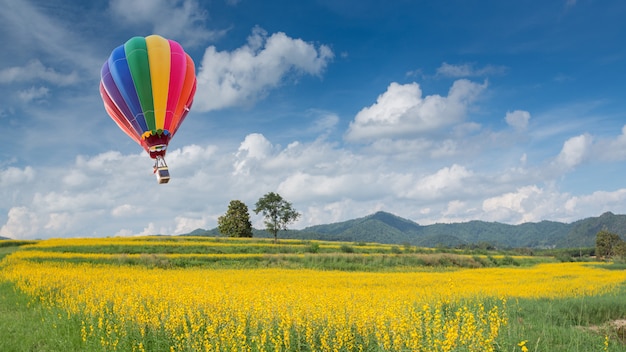 Globo aerostático sobre campo de flores amarillas