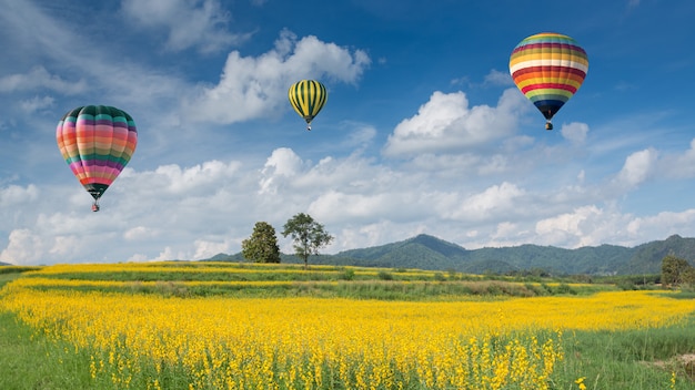 Globo aerostático sobre campos de flores amarillas contra el cielo azul