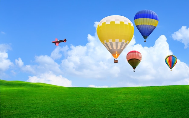 Globo de aire caliente flotando en el cielo sobre la hierba verde