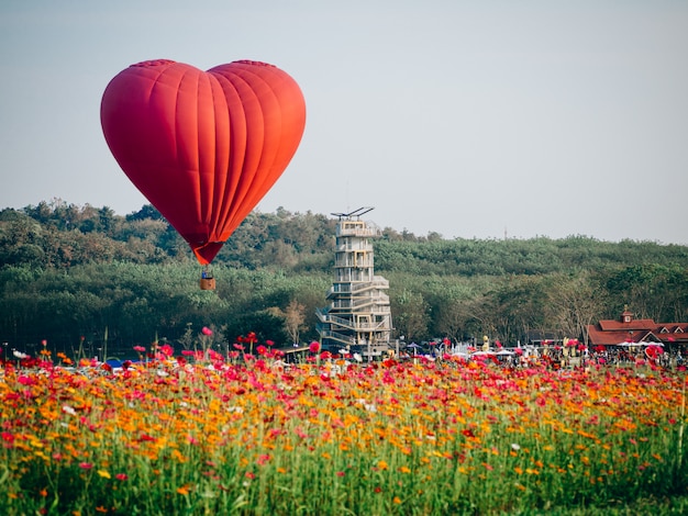 Globo de aire caliente rojo en la forma de un corazón sobre el campo de flores cosmos