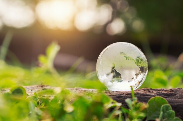 Globo de cristal sobre hierba con sol. concepto de medio ambiente