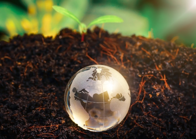 Globo de cristal de la tierra de fondo y el concepto de día de la tierra verde naturaleza borrosa