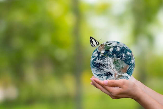 Globo da terra na mão humana com borboleta voando no fundo verde da floresta Salvando o ambiente salvar o conceito de ecologia do planeta limpo Elementos desta imagem fornecidos pela NASA