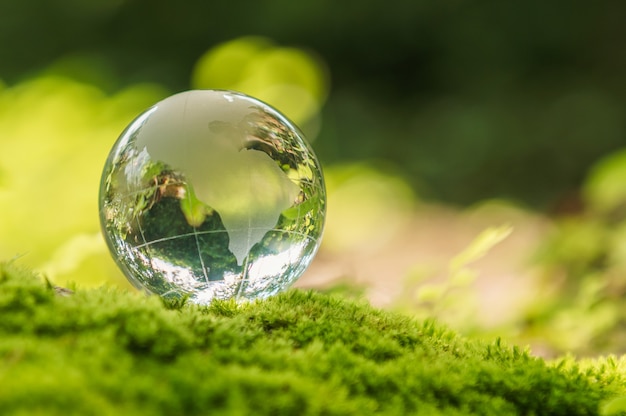 Globo de cristal em pedra de musgo com luz do sol na natureza. conceito de eco ambiente