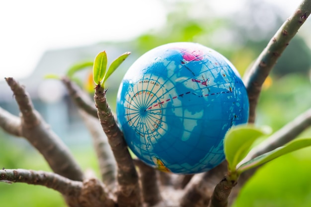 Globo o tierra en rosa del desierto, árbol rosado del adenium obesum con luz solar. protección de ahorro, medio ambiente, día del árbol, tarjeta para el día mundial de la tierra, conservación, concepto ecológico.