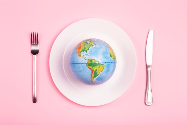 Foto globo en un plato para comida sobre un fondo rosa. poder, economía, política, globalismo, hambre, pobreza y concepto de alimentación mundial.