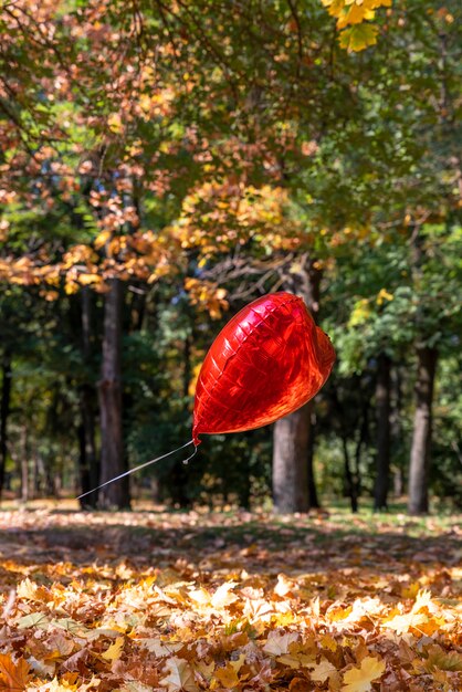 Globo rojo vuela en el parque otoño