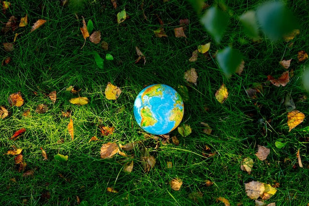 Foto globo terrestre na grama verde com folhas de outono