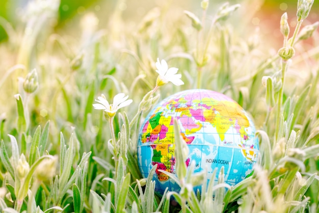 Globo de tierra sobre la hierba. Salva la naturaleza. Medio ambiente. Día de verano, concepto de ecología y salvar el planeta.