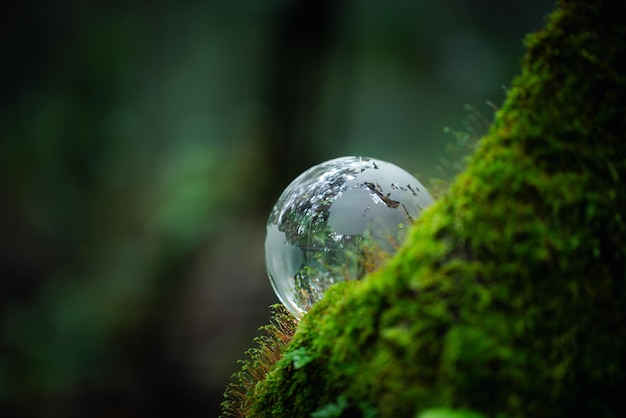 Globo de vidrio sobre musgo de hierba en el bosque Planeta verde con luces bokeh desenfocadas abstractas Concepto de conservación ambiental Elementos de esta imagen proporcionados por la NASA