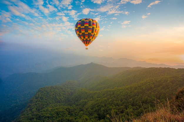 Globos de aire caliente con paisaje de montaña.