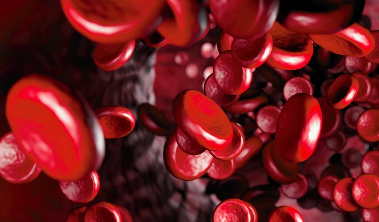 Foto glóbulos rojos en una arteria, flujo dentro del cuerpo, antecedentes médicos de atención médica humana. vista de sangre bajo un microscopio. flujo macro de glóbulos rojos en una vena. representación 3d
