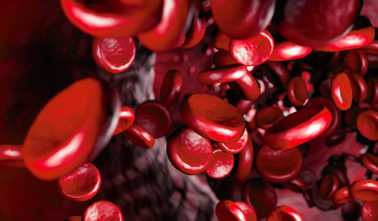 Foto glóbulos rojos en una arteria, flujo dentro del cuerpo, antecedentes médicos de atención médica humana. vista de sangre bajo un microscopio. flujo macro de glóbulos rojos en una vena. representación 3d
