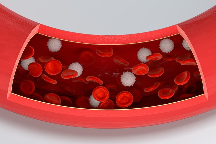 Foto glóbulos rojos y blancos en la representación 3d de los vasos sanguíneos