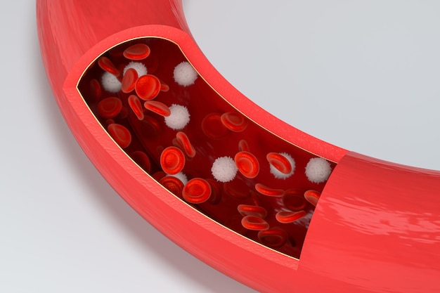 Foto los glóbulos rojos y blancos en el vaso sanguíneo representación 3d dibujo digital por computadora