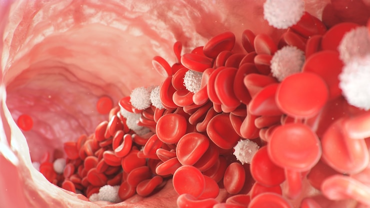 Foto glóbulos rojos dentro de una arteria, vena. flujo de sangre dentro de un organismo vivo. concepto médico y científico. transferencia de elementos importantes en la sangre para proteger el organismo. ilustración 3d