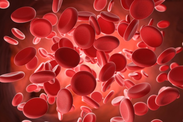Glóbulos rojos sobre fondo burdeos Concepto científico y médico Vista bajo el microscopio Representación 3d