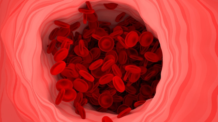Foto los glóbulos rojos en los vasos sanguíneos del cuerpo