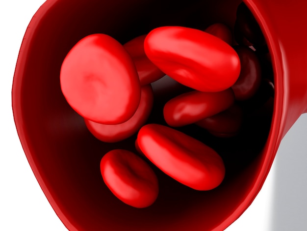Glóbulos vermelhos 3D na artéria