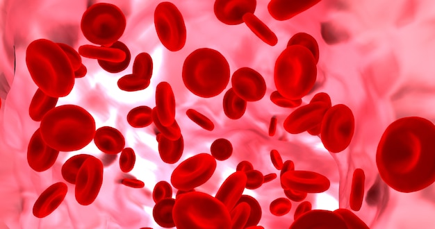 Glóbulos vermelhos no vaso sanguíneo.