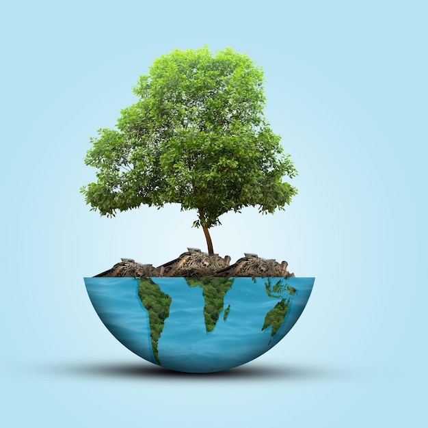 Globus mit einem wachsenden Baum