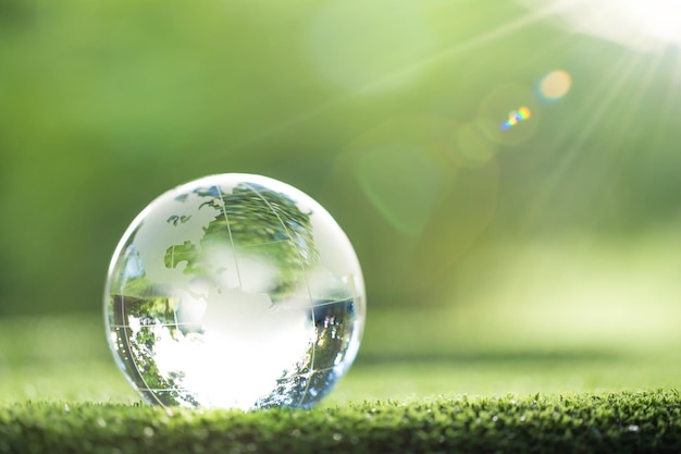Globus Planet Glas im grünen Wald mit Bokeh Natur beleuchtet Weltumwelttag