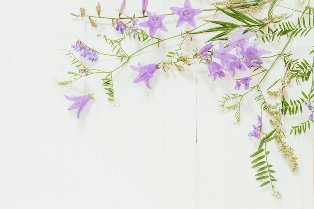 Glockenblume auf weißem hölzernem Hintergrund