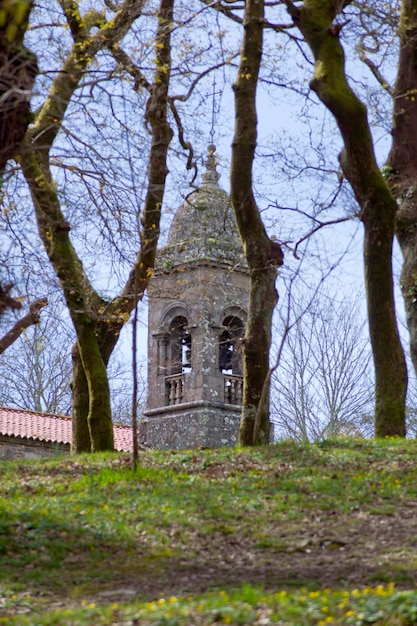 Glockenturm fast versteckt hinter den Bäumen von La Alameda