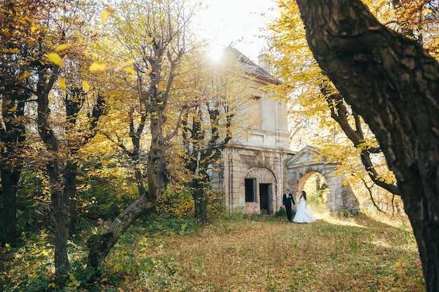 Glücklich und verliebt gehen Braut und Bräutigam im Herbstpark an ihrem Hochzeitstag