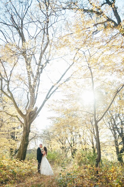 Glücklich und verliebt gehen Braut und Bräutigam im Herbstpark an ihrem Hochzeitstag