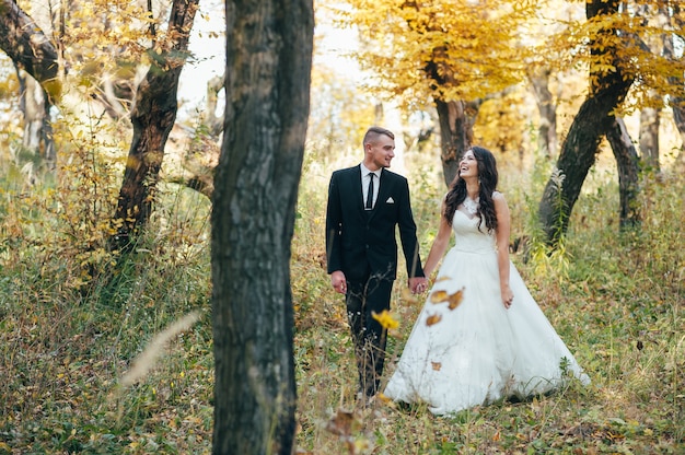 Glücklich und verliebt gehen Braut und Bräutigam im Herbstpark an ihrem Hochzeitstag