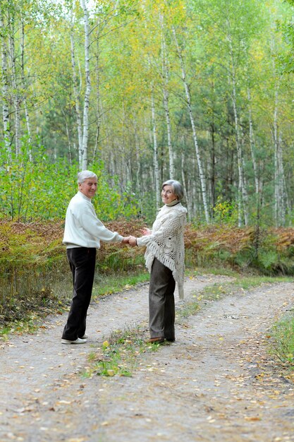 Glückliche ältere Paare, die in Herbstwald gehen