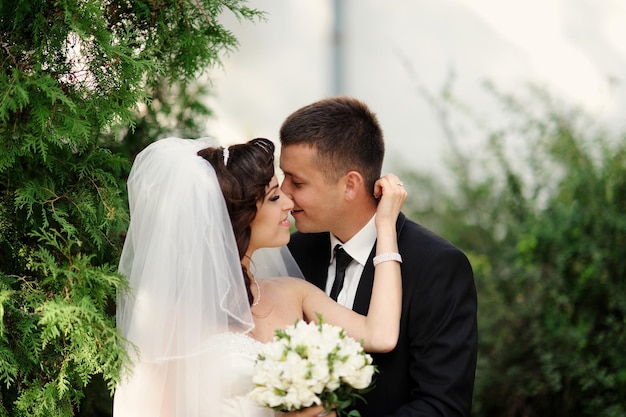 Glückliche Braut und Bräutigam auf ihrer Hochzeit