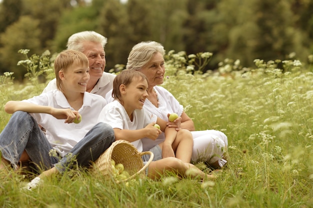 Glückliche Familie, die an einem sonnigen Sommertag ein Picknick macht