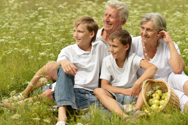 Glückliche Familie, die an einem sonnigen Sommertag ein Picknick macht