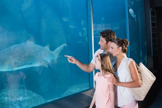 Glückliche Familie, die Aquarium betrachtet