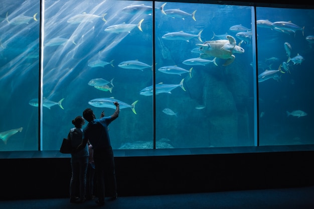 Glückliche Familie, die Aquarium betrachtet