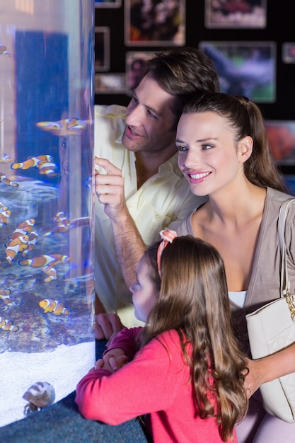 Glückliche Familie, die Aquarium betrachtet