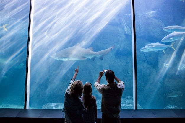 Glückliche Familie, die das Aquarium betrachtet