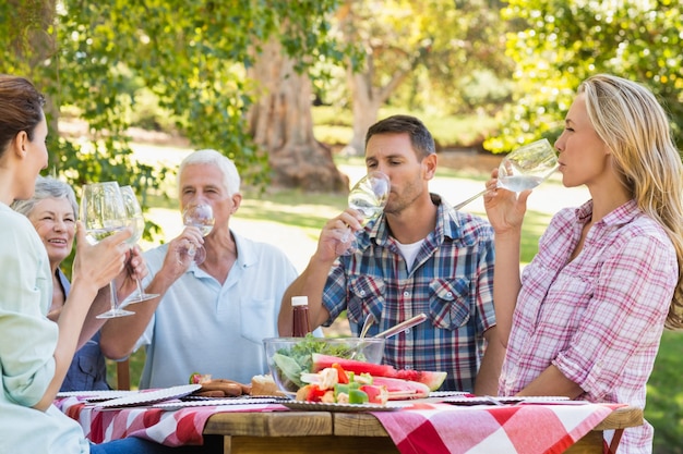 Glückliche Familie, die Picknick im Park hat