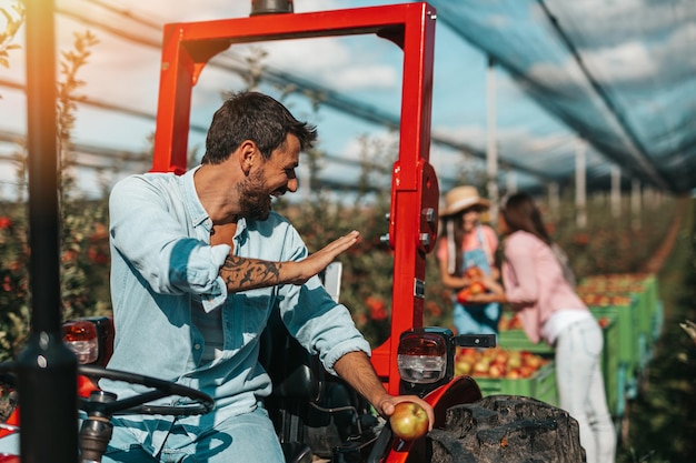 Glückliche Familie, die zusammen genießt, während sie Äpfel im Obstgarten auswählt.